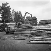 Timmertransport med lastbil vid Hylte bruk, 12/9 1968.