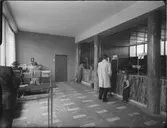 POSTHUS I NYBRO
EXTERIÖR, INTERIÖR