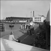 KALMAR CHOKLADFABRIK, RÖDA UGGLAN, KOOPERTIVA VID HAMNEN