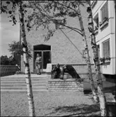 RELIEF MED FISKAR TELEGRAFEN NYNÄSHAMN