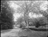 NYRESTAURERAD PRÄSTGÅRD I SKÅNE