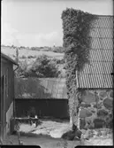 VÄXTHUS BARÅKRA, TAKMATERIAL
INTERIÖR, EXTERIÖR