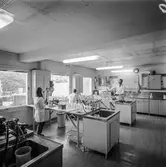 Personal i arbete på pappersbruket Papyrus laboratorium. Mölndal, 8/9 1970.