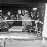 Fabriksvisning för Papyrus anställdas anhöriga. Pappersbruket Papyrus i Mölndal, 10/10 1970.