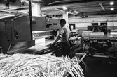 Man i arbete vid skärmaskin på pappersbruket Papyrus i Mölndal, hösten 1970.