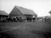 FOLK PÅ LADUGÅRDSBACKEN MED OXAR OCH HÄSTAR. VID VÄGGEN T.H. EN TRÖSKVANDRING.