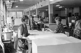 Kvinnor i arbete med att sortera papper på pappersbruket Papyrus i Mölndal, hösten 1970. Sortersalen.