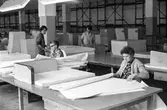 Kvinnor i arbete med att sortera papper på pappersbruket Papyrus i Mölndal, hösten 1970.