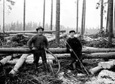 TVÅ MÄN ARBETAR I SKOGEN MED TIMMERHUGGNING.