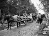 TRE HÄSTSKJUTSAR VARAV DEN ENA LASTAD MED TIMMERSTOCKAR PÅ 
EN SMAL VÄG.

Fotot taget i juli 1917.