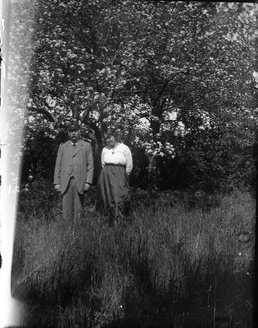 Anna Elisabet Karolina Rythén, An elderly man with a beard and a cap, and a young woman, stands in tall grass under a large flowering tree. It is Alexis Rythén and probably his granddaughter Anna-Lisa Rythén.