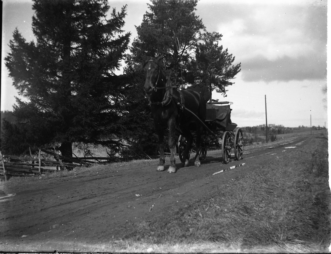 Anna Elisabet Karolina Rythén, Horse and carriage with unknown cock on a dirt road.