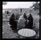 Äldre kvinnor som sitter och pratar i augustisolen på Skansberget i Uddevalla