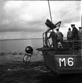 Minsveparen M6
Minfällning å minsveparen M6 och Aspö minsektion