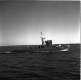 M 51
Minsveparen M 51, provtur till sjöss