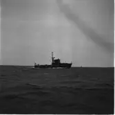 M 51
Minsveparen M 51, provtur till sjöss