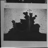 Maskinsektionen
Maskinsektionen, repr. av mikrobilder