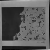 Maskinsektionen
Maskinsektionen, repr. av mikrobilder