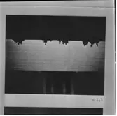 Maskinsektionen
Maskinsektionen, repr. av mikrobilder