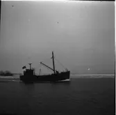 Edda
Transportbåten Edda