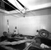 Omanbåten
Exteriör eller interiör av Omanbåten under byggnation