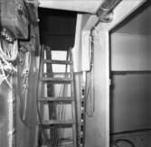 Omanbåten
Exteriör eller interiör av Omanbåten under byggnation