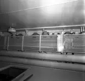 Carlskrona
Interiör av minfartyget Carlskrona (rörarrangemang)