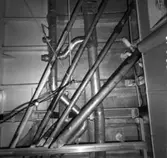 Carlskrona
Interiör av minfartyget Carlskrona (rörarrangemang)