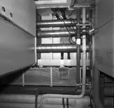 Carlskrona
Interiör av minfartyget Carlskrona (rörarrangemang)