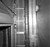 Carlskrona
Interiör av minfartyget Carlskrona (rörarrangemang)