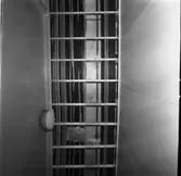 Carlskrona
Interiör av minfartyget Carlskrona, rör arrangemang i taken