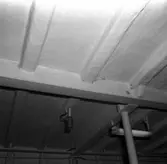 Carlskrona
Minfartyget Carlskronas provtursdagar.\\Intriörer och exteriörer.