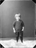 Ateljéporträtt - barn till Sonja Wilkesson från Östhammar, Uppland 1923