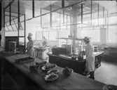 TILLBYGGNAD TILL KÅRHUS, EGNELL
EXTERIÖR, INTERIÖR