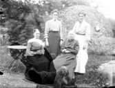 Fyra damer, Lillhärad, ca 1910.
