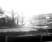 Motiv från Gamleby.