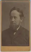 Johan Alfred Tausis