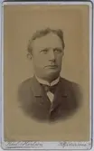 August Vilhelm Ericsson