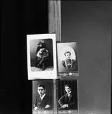 Reprofotografi - kabinettsfotografier uppsatta med nålar, Östhammar, Uppland