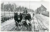 Sura sn, Surahammar kn, Surahammar.
Oxekipage på Bruksgatan omkring 1920.