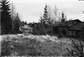 Man med gevär står i skogsdungen vid timmerbyggnader, Östhammar, Uppland