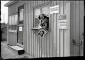 Kioskbiträde tittar ut ur kiosken