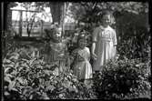 Tre flickor i trädgård