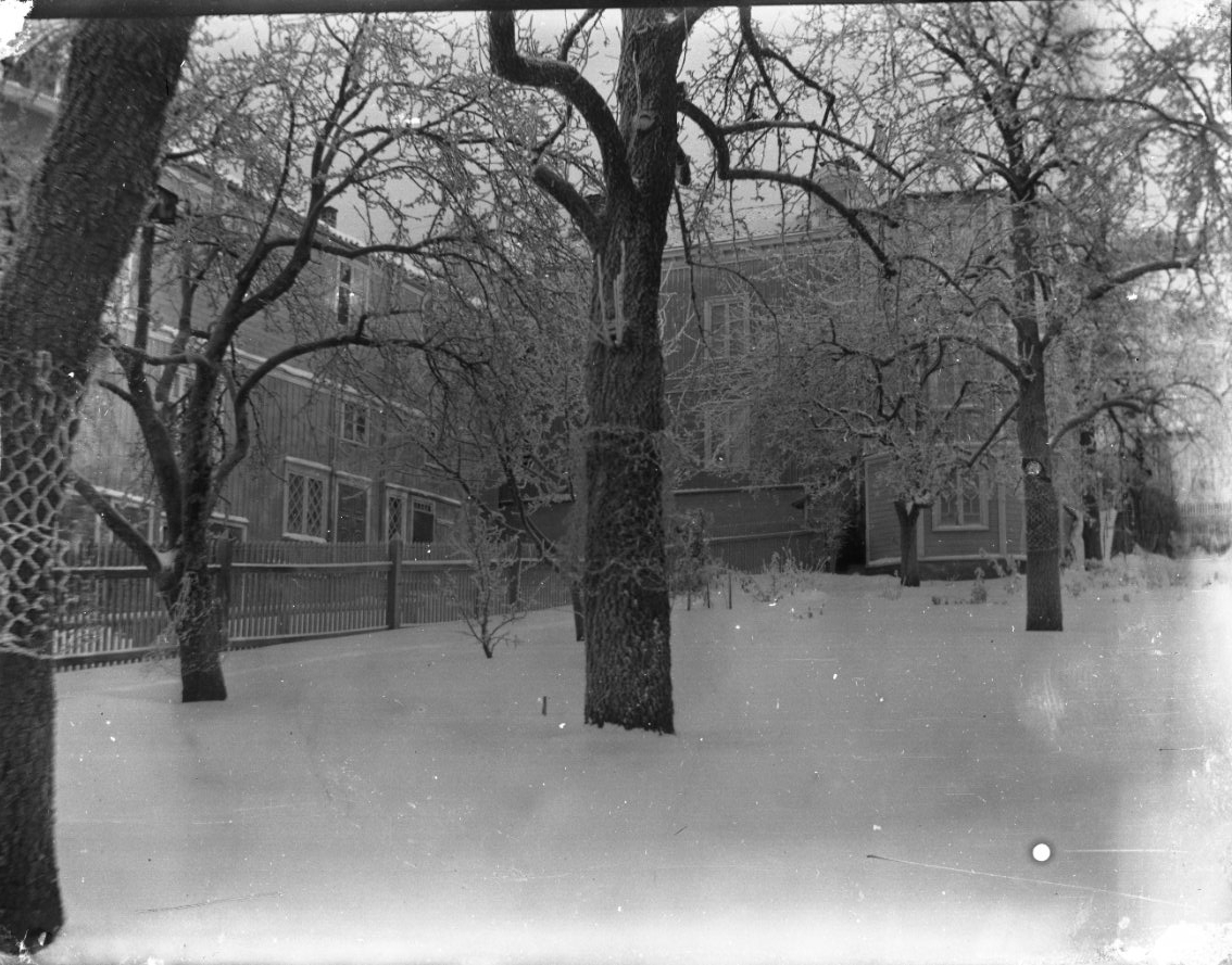 Unknown artist, Gårdssidan av Brahegatan 39 vintertid med snö på marken. Flera höga träd. Till höger syns det trapphus som idag är rivet.