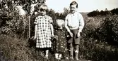 Tre barn i blommande sommarträdgård. Det är syskonen Larsson i Albäck; från vänster Margit, Karin som håller en blombukett och Gunnar.