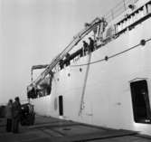 Carlskrona
Lastning av minor och minfällning, minfartyget Carlskrona