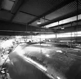 M 80
Arbetsställningar kring M 80 och plastning av däcket