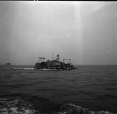 SAM
Provtur med svepkatamaranen SAM\\\\anm: neg ingår i serie om 46 st varav endast det första \\V 91133 scannas/gp