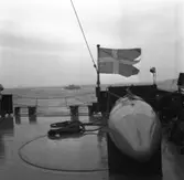 SAM
Provtur med svepkatamaranen SAM\\\\anm neg ingår i en serie om 3 st varav endast det första\\V 96230 scannats/gp