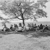 Varvets 25-årsfest i varvsträdgården